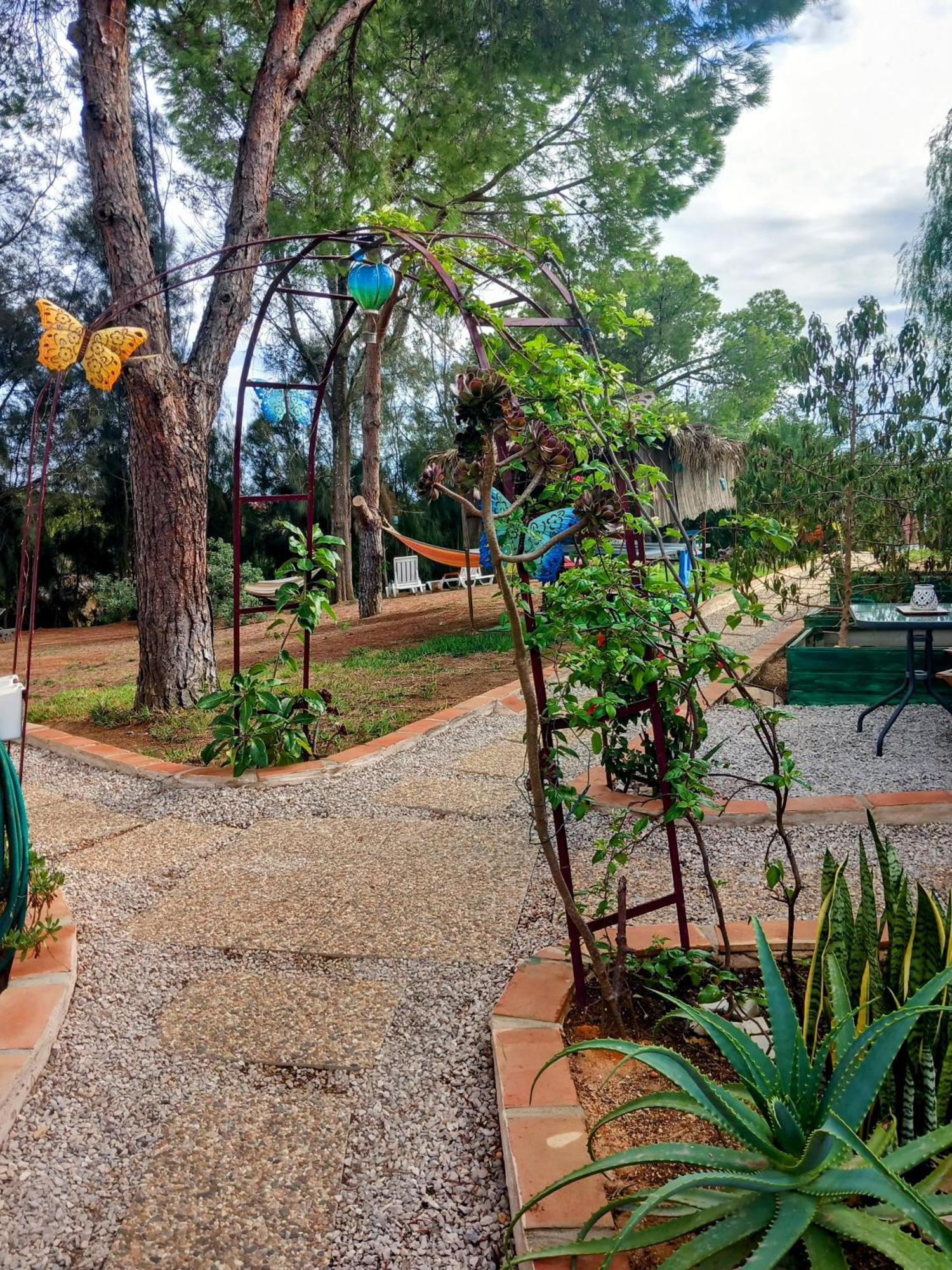 Boheme Valdareina, Piscine Chauffee, Benagil-Carvoeiro Apartment Carvoeiro  Ngoại thất bức ảnh